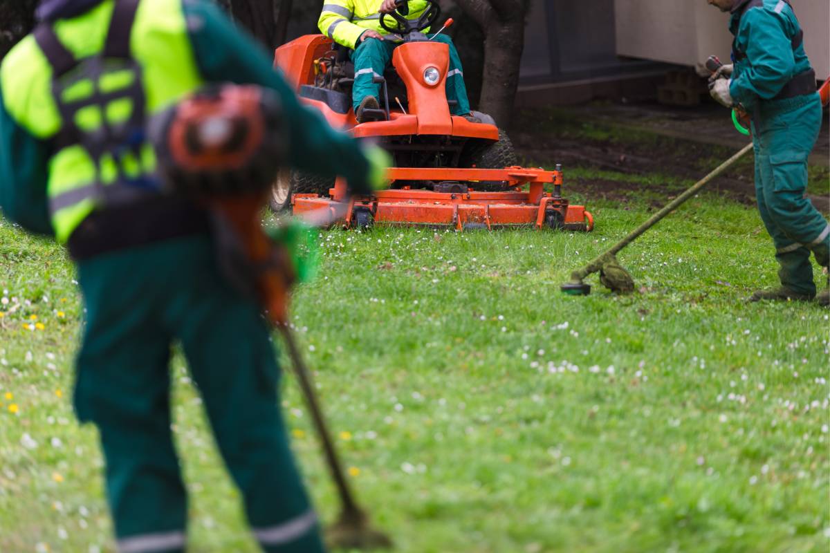 Professional landscaping company cutting a lawn near Lexington and Nicholasville, KY