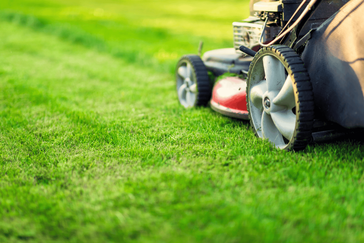 Lawnmower cutting a green lawn in Nicholasville, KY. 