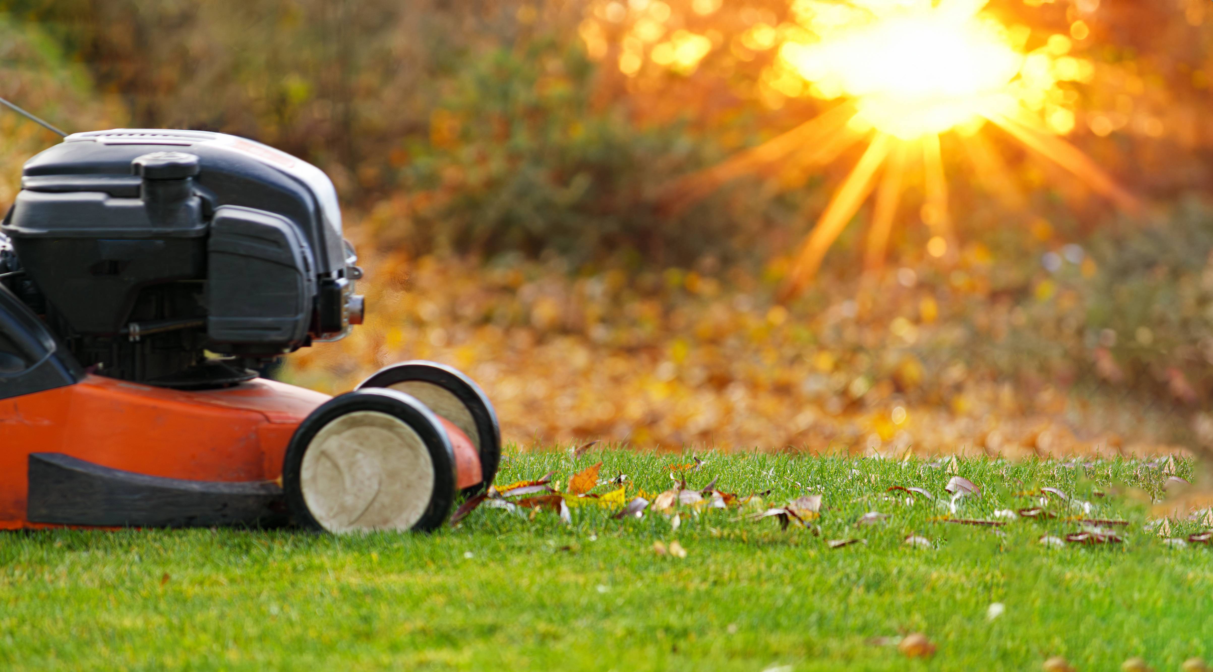 A red push mower cutting orange and brown leaves in a yard during the fall at Sharp Lawn near Lexington and Nicholasville, KY