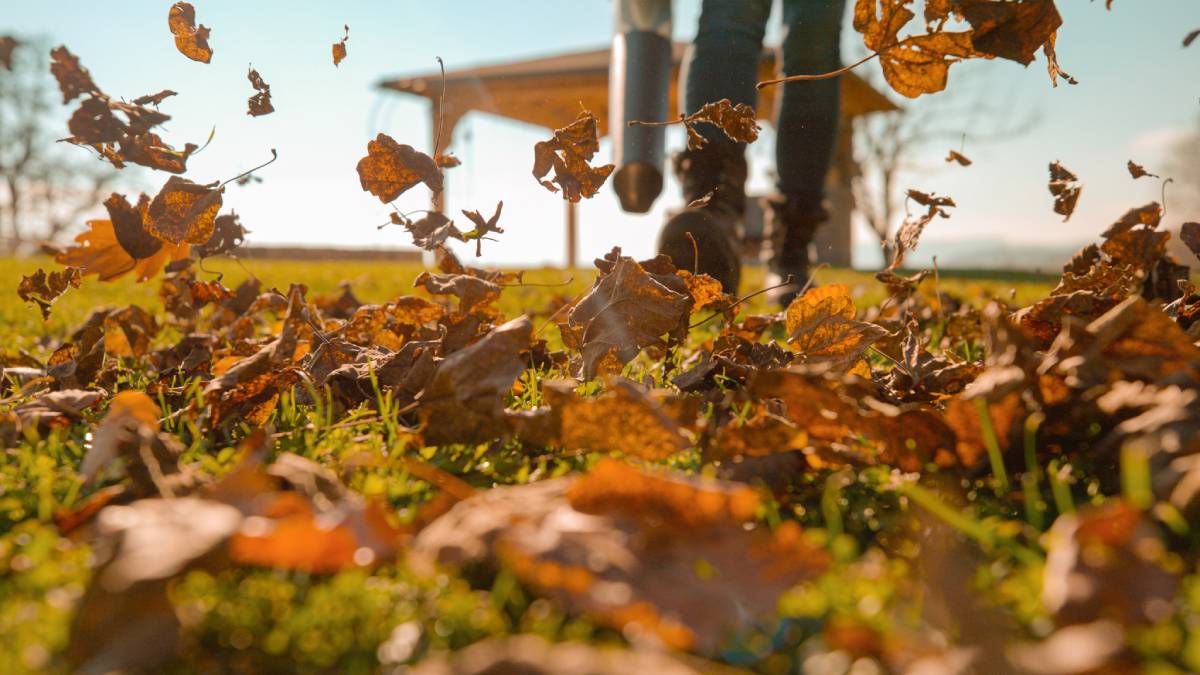 Lawn care worker pushing leaves with leaf blower in a yard near Nicholasville, KY