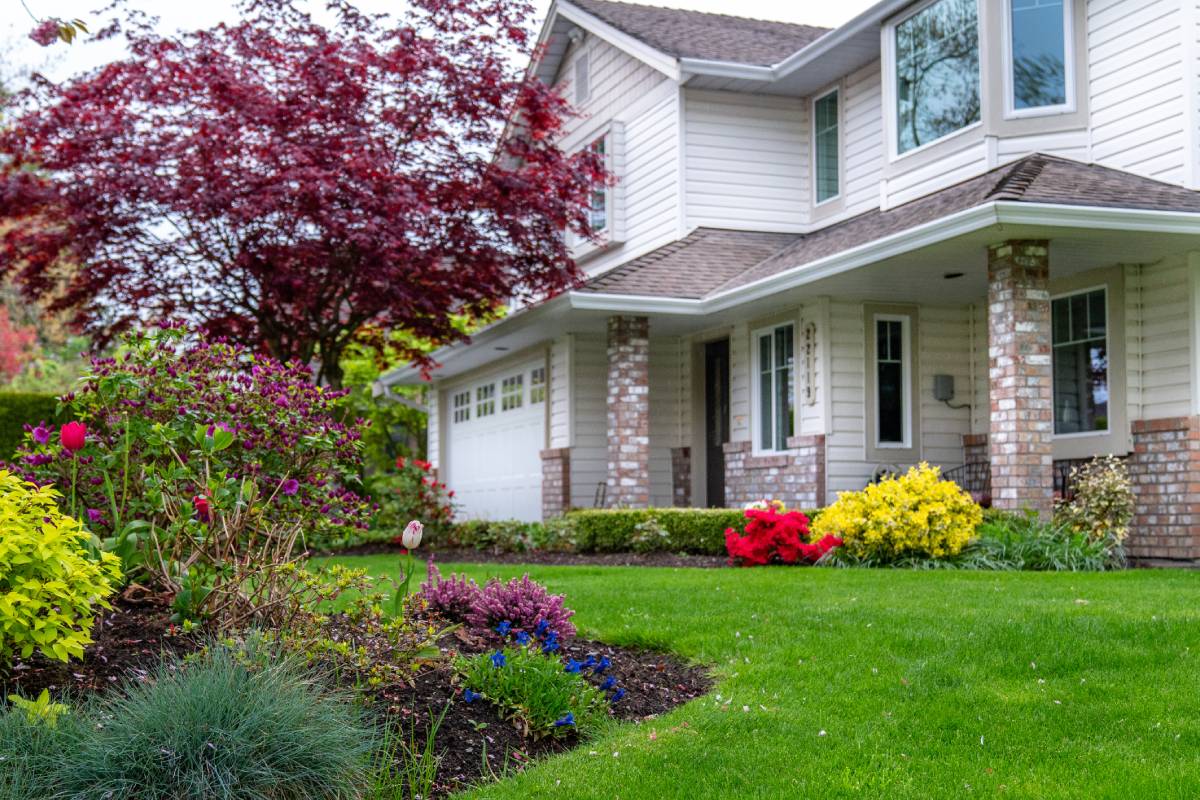 Front landscaping of a home with bushes, flowers, and a landscaping tree.