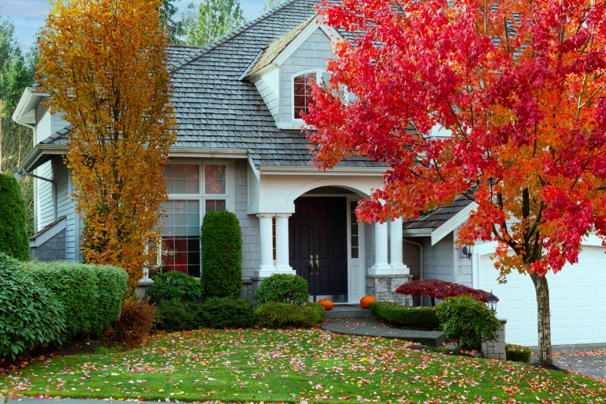 Kentucky house with two trees turning colors during the fall in the front yard.